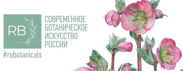 Ботаника на кончике карандаша