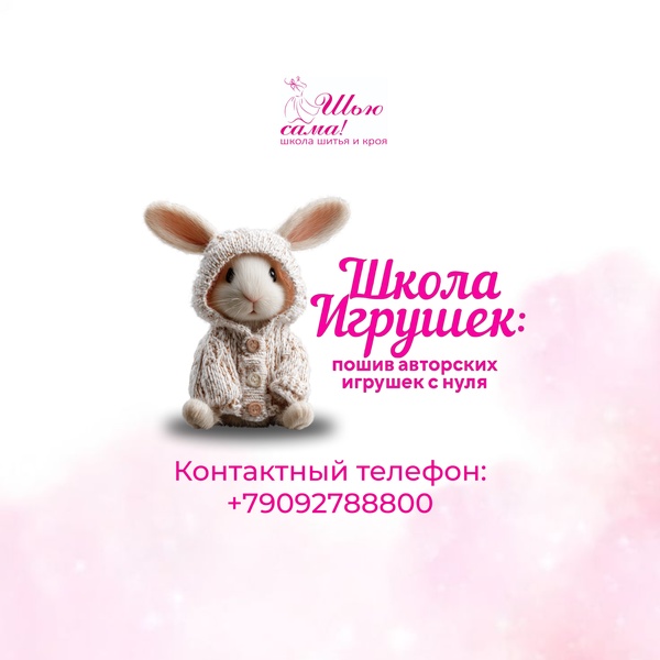 Школа игрушек для детей и взрослых 8+