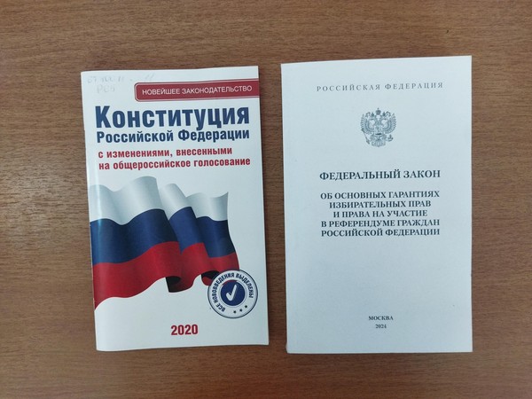 Программа «Популярно о выборах»
