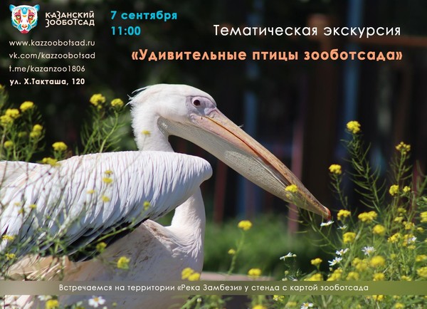 Тематическая экскурсия «Удивительные птицы зооботсада»