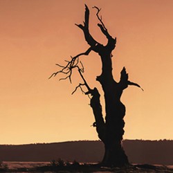 Другая Пиаф