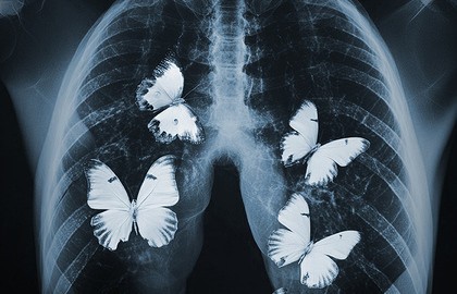 Дама с собачкой