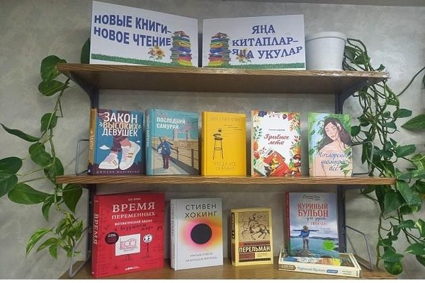 «Новые книги новое чтение»