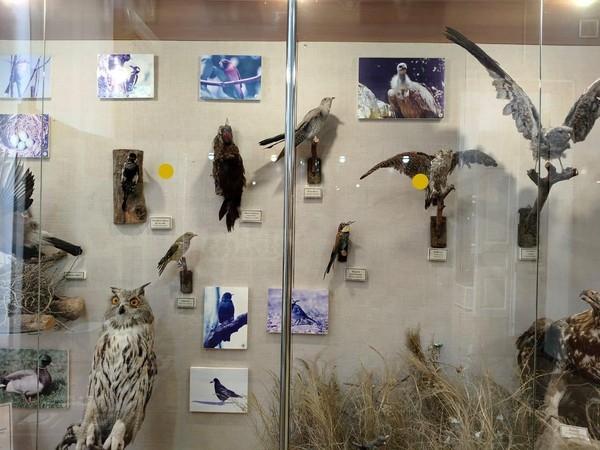 Выставка «Птицы Кавказских Минеральных вод»