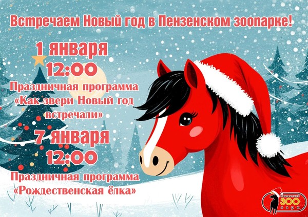 Новогодние праздники в зоопарке