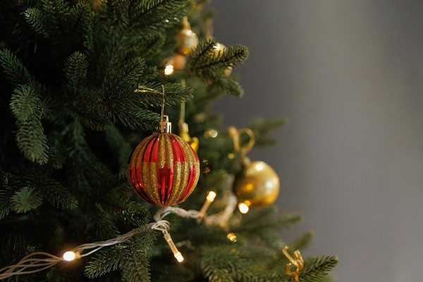 Экскурсия «От Сэтэра до Бангора»