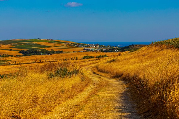 Из Стамбула — в район Чаталджа
