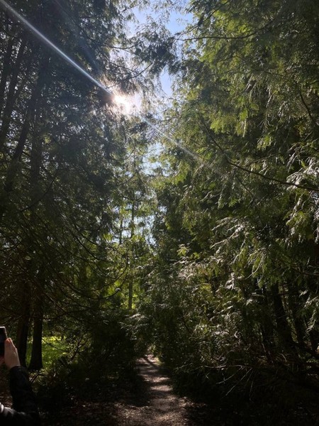 Из Казани — к Голубым озёрам, заповеднику и монастырю среди деревьев