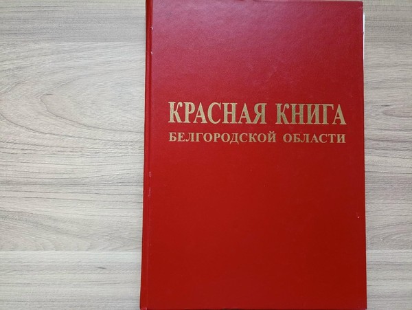 Экологическая пргорамма «Заповедный экспресс»