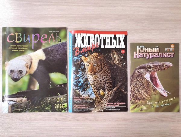 Выставка-коллаж «Пресса – на все интересы»