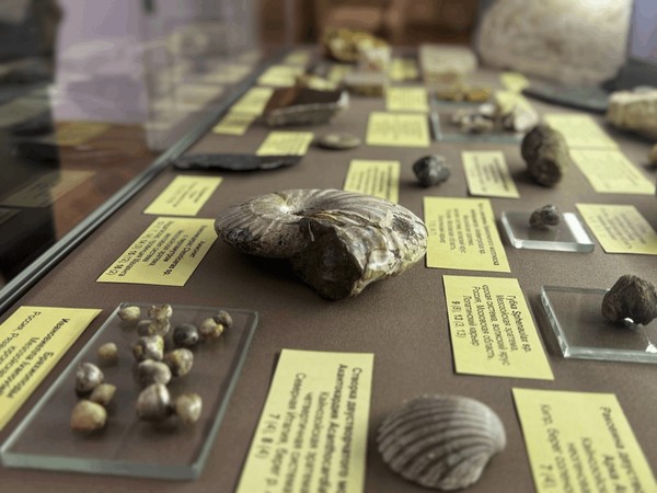 Лекция А.В. Пахневича «Минуты палеонтологического времени»