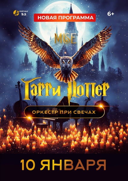 MUSE: Гарри Поттер г.Нальчик