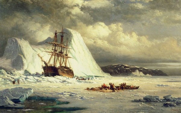 Северные экспедиции