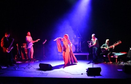 Sardonics. Арт-рок-фьюжн