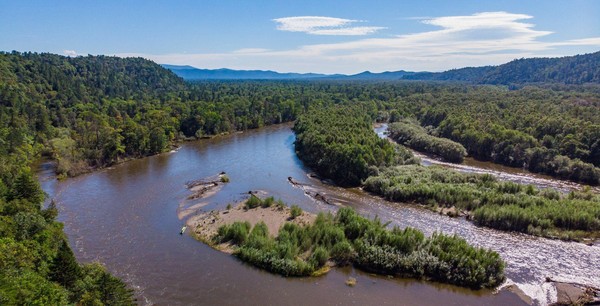 «Заповедный уголок»