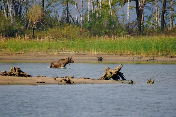 «Жемчужины природы – заповедники»