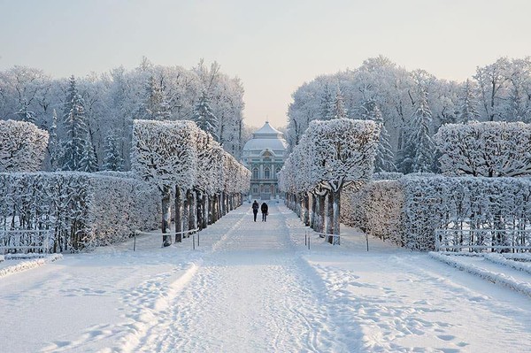 Выбираем любимый парк в Петербурге