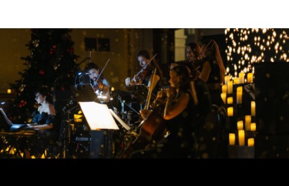 Электроёлка. Lumisfera и 5000 свечей