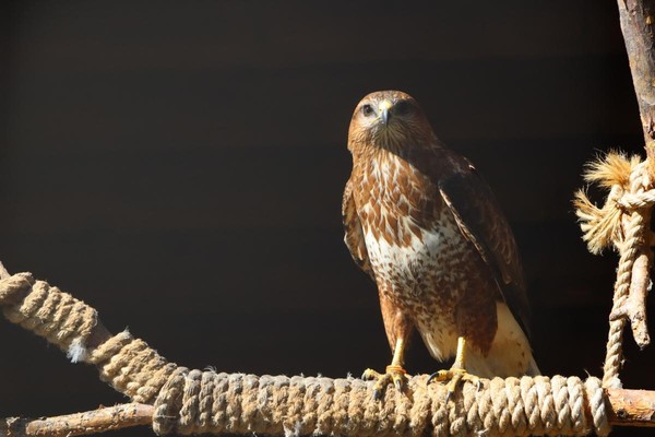 Экскурсия по основной территории