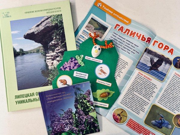 Маршрут «Зелёный край Липецкий»