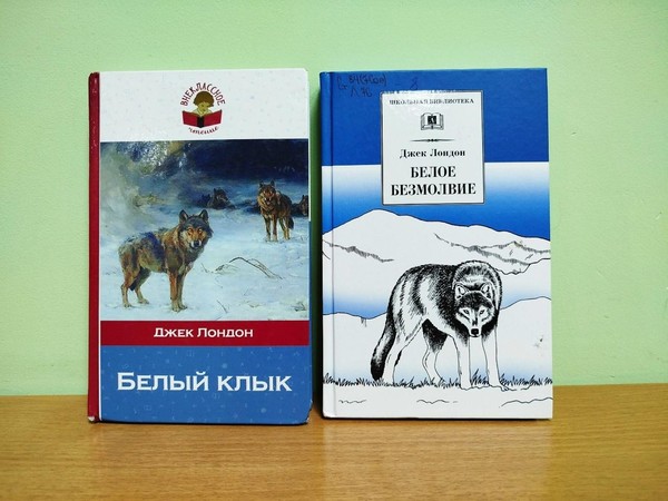 Программа «Романтик северных снегов»