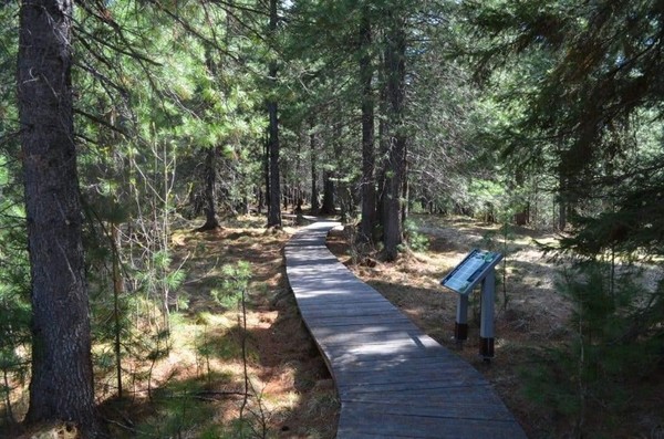 «По заповедным тропам»