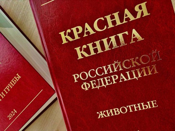 Беседа «Красная книга»