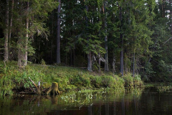 Экологическое путешествие «Путешествие по заповедникам нашей Родины»