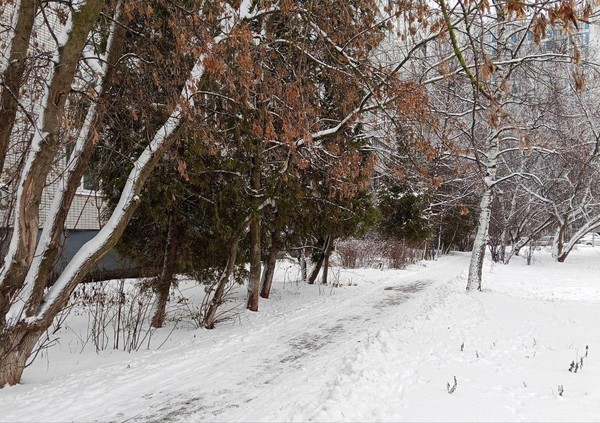 Мастер-класс «Зимняя сказка»