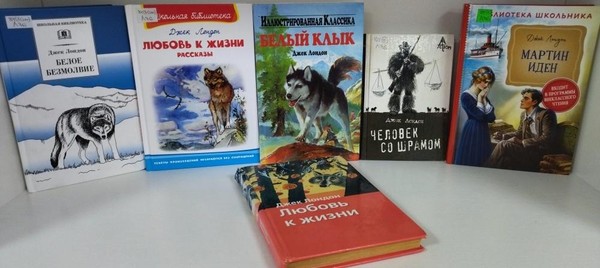 Выставка литературы «Белых снегов романтик»