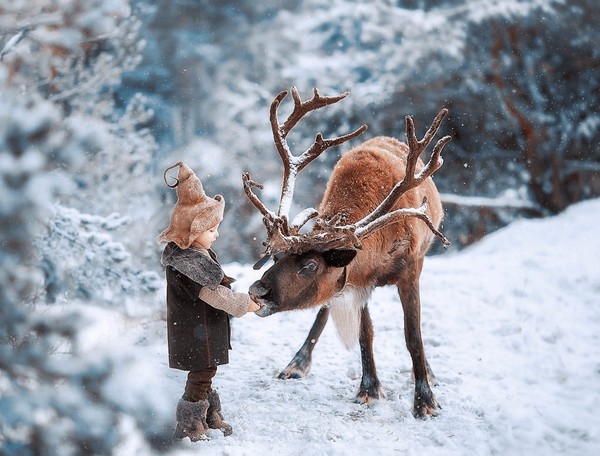 Классный час «Умчи меня олень в свою страну оленью...»