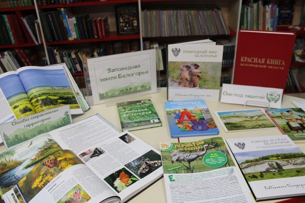 Мультимедийное путешествие «Заповедная земля Белогорья»