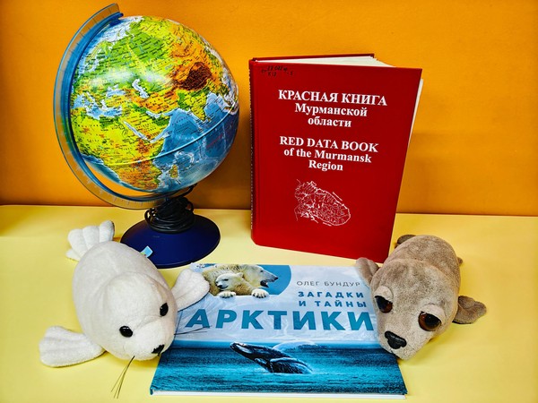 Познавательный урок «Окно в природу»