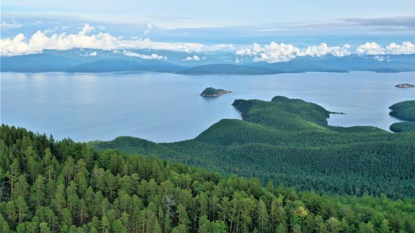 «День заповедников и национальных парков»