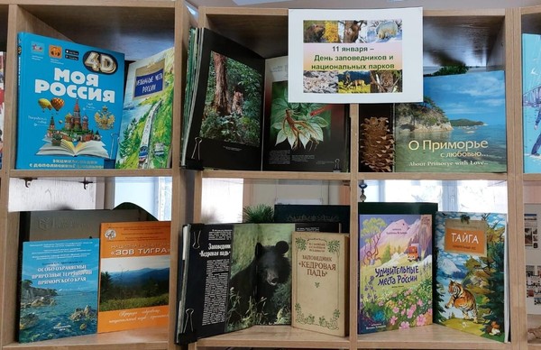 Экологический час «Дом для дикой природы»