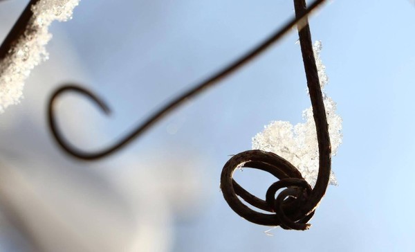 Концерт «Музыка зимы»