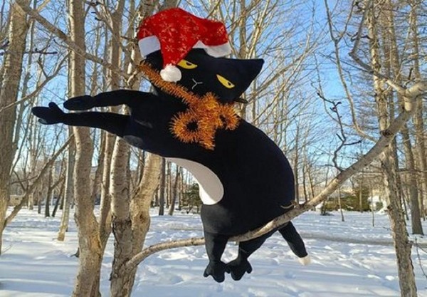 Программа «Байки кота-краеведа. С новым, 1852 годом»