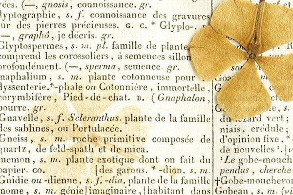 Выставка «Тайны старых коллекций. Вложения и вклейки»