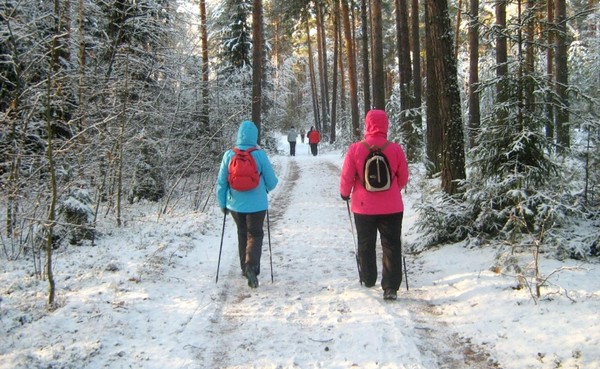 Скандинавская ходьба в парке для жизнелюбов