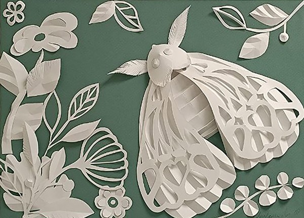 Выставка «Насекомые»