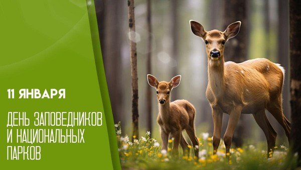 Эко-час «Заповедники природы»