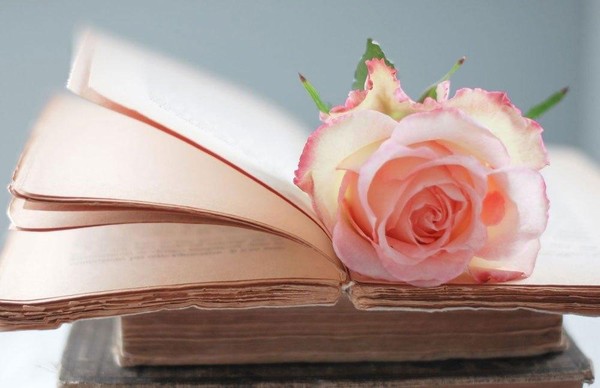 Литературная викторина «Язык живая душа народа»