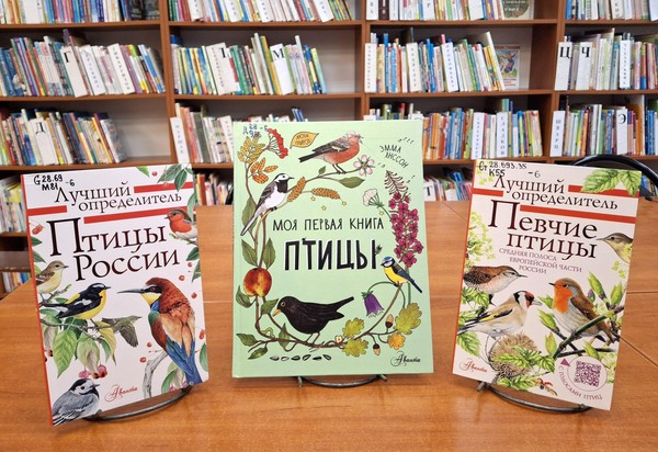 Беседа «Кто летает и поет – с нами рядышком живет»