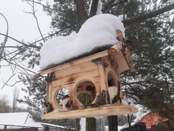 Покормите птиц зимой