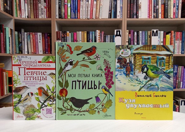 Беседа «Зимние гости»