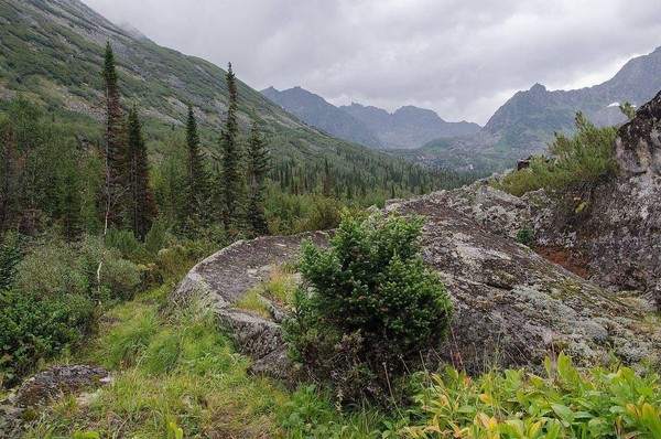 Познавательная экологическая программа «Есть на свете заповедные места»