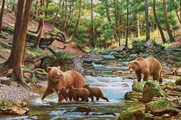 Передача на автоинформаторе РГБС «День заповедников и национальных парков»