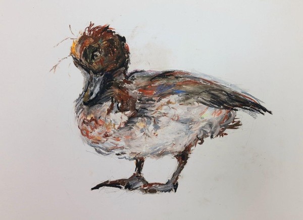 Выставка «Птицы масляной пастелью»