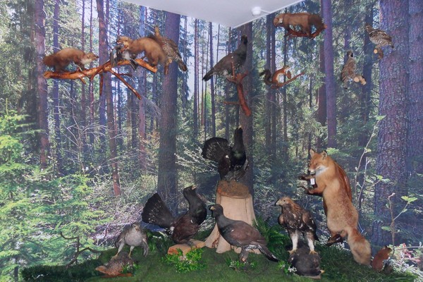 Экскурсия по экспозициям музея природы и этнографии