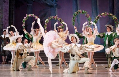 Спящая красавица